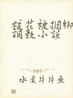 校花被捆绑玩弄调教小说