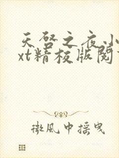 天启之夜小说txt精校版阅读