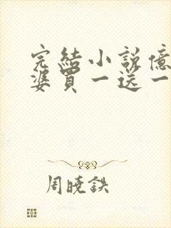 完结小说亿万老婆买一送一