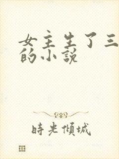女主生了三胞胎的小说