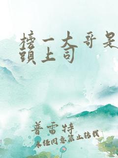 榜一大哥是我顶头上司