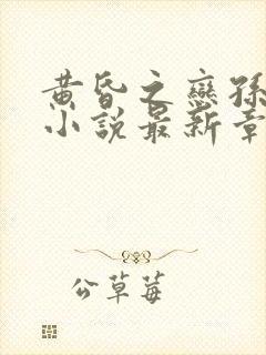 黄昏之恋孙雨菲小说最新章节阅读