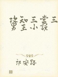 攻知三当三的双男主小说