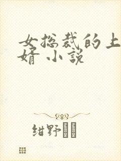 女总裁的上门龙婿 小说