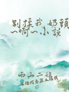 别揉我奶头~嗯~啊~小说