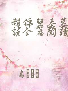 赵锦儿秦慕修小说全篇阅读