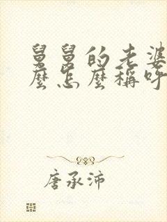 舅舅的老婆叫什么怎么称呼