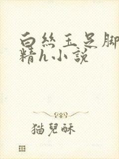 白丝玉足脚交榨精h小说