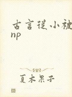 古言从小被调教np