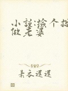 小说:捡个总裁做老婆