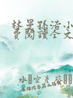 林曼孙浩小说免费阅读全文最新章节