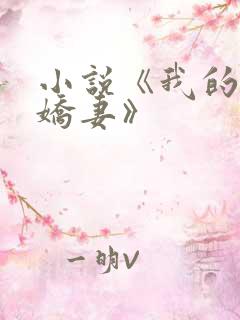 小说《我的极品娇妻》