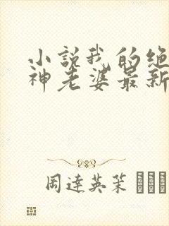 小说我的绝美女神老婆最新章节