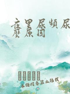 夜里尿频尿多什么原因