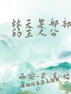 林天是哪部小说的主人公