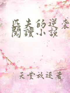 匹夫的逆袭免费阅读小说