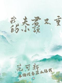 我夫君又重生了的小说