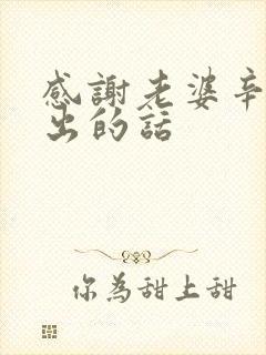 感谢老婆辛苦付出的话