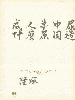 成人梦中尿床是什么原因造成的