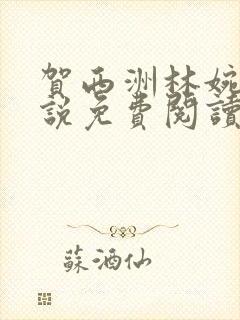 贺西洲林婉婉小说免费阅读无弹窗全