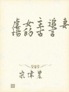 虐女主追妻火葬场的古言