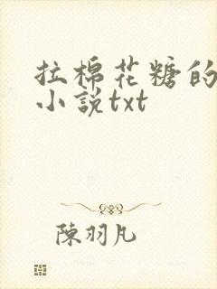 拉棉花糖的兔子小说txt