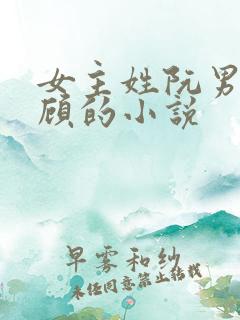 女主姓阮男主姓顾的小说