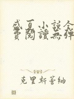 盛夏小说全文免费阅读无弹窗