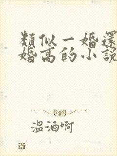 类似一婚还比一婚高的小说高干文