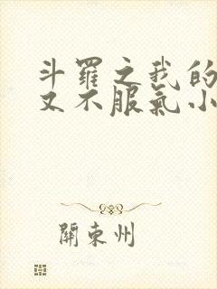 斗罗之我的系统又不服气小说