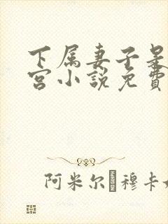 下属妻子是我后宫小说免费阅读最新