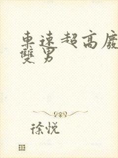 车速超高废文的双男