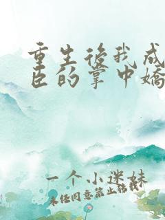 重生后我成了权臣的掌中娇全文免费