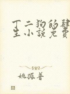 丁二狗的肆意人生小说免费听完整版