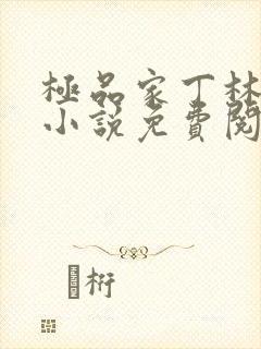 极品家丁林晚荣小说免费阅读全文无删减