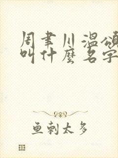 周聿川温颂小说叫什么名字