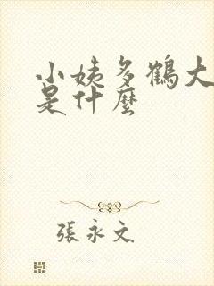 小姨多鹤大结局是什么