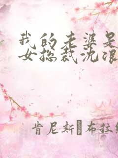 我的老婆是冰山女总裁沈浪最新版