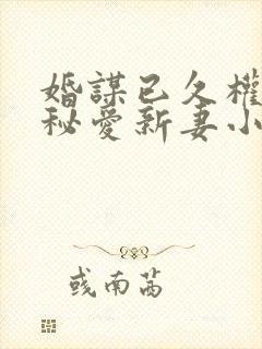 婚谋已久权少的秘爱新妻小说