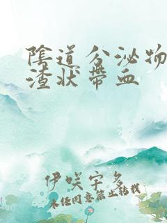 阴道分泌物豆腐渣状带血