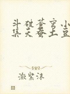 斗破苍穹小说续集天蚕土豆