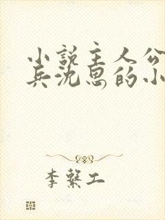 小说主人公叫李兵沈思的小说