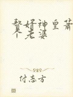 赘婿神皇萧凡几个老婆