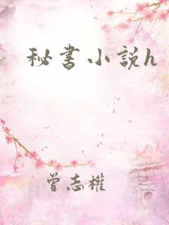 秘书小说h