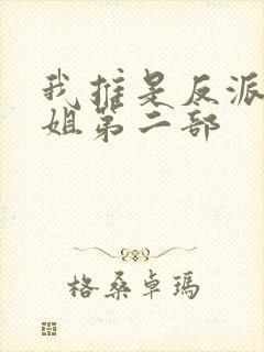 我推是反派大小姐第二部