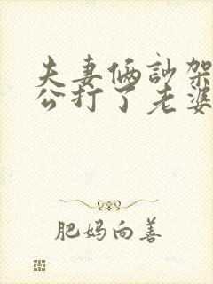 夫妻俩吵架了老公打了老婆怎么办