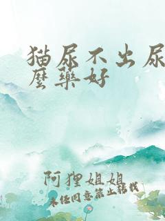 猫尿不出尿吃什么药好