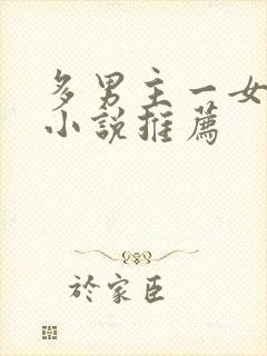 多男主一女主的小说推荐