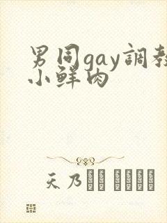 男同gay调教小鲜肉