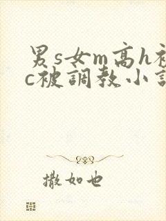 男s女m高h被c被调教小说